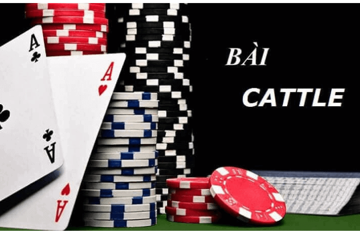 Mẹo Chơi Catte Thắng Trắng 2026